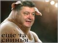 Poroshenko damn pig.jpeg