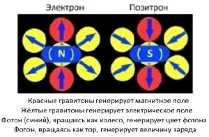 Эл-поз-8899.jpg