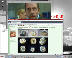 Снимок экрана простого пользователя РУС-BSD