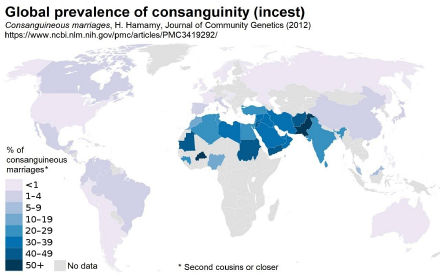 Incest 2012.jpg