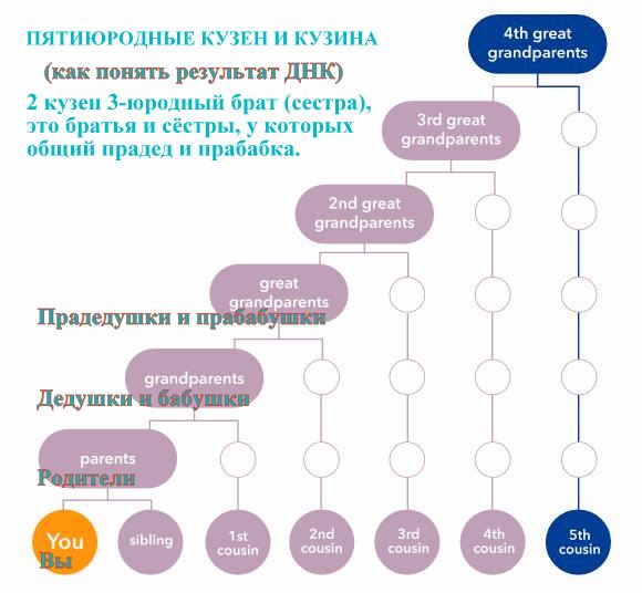 Как понять 2. Двоюродные родственники. Кузен и Кузина это кто по родственному. Пятиюродный родственник. Кузина родство.