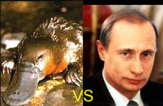 Утконос и Путин.JPG