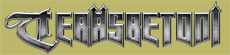 Teräsbetoni logo.png