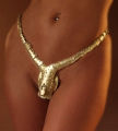 Chastity belt.2.jpg