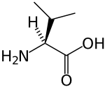 Chemical structure of Valine