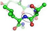 Peptide bond s leizinom i treoninom.jpg