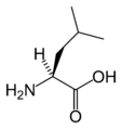 L-leucine-skeletal.png