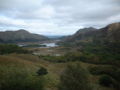 Ladys View County Kerry Ireland.jpg