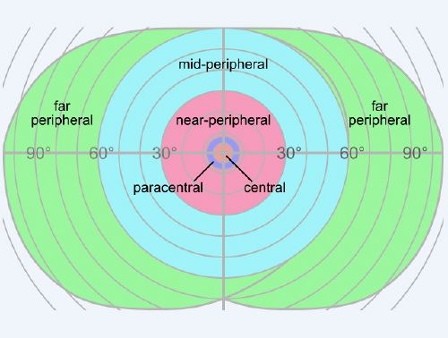 Периферийное зрение фото