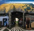 Jacek Yerka (10).jpg