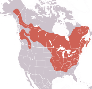 Marmota monax range.png