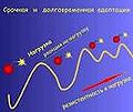 Миниатюра для версии от 06:11, 5 апреля 2011