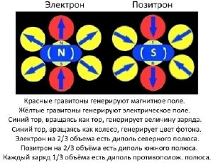 Эл-поз-2-2.jpg