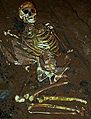 Cheddar man skeleton.jpg