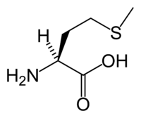 L-methionine-skeletal.png