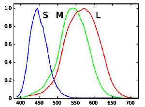 Cones SMJ2 E.jpg