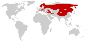 Distribution L. lynx.png